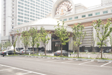 合肥藍(lán)鼎九號(hào)公館
